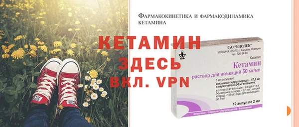 гидра Абаза