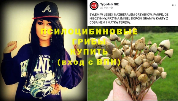 ГАЛЛЮЦИНОГЕННЫЕ ГРИБЫ Алексин