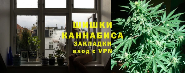 гидра Абаза