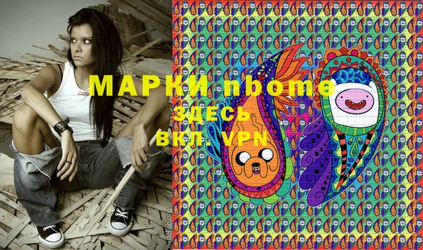 гидра Абаза