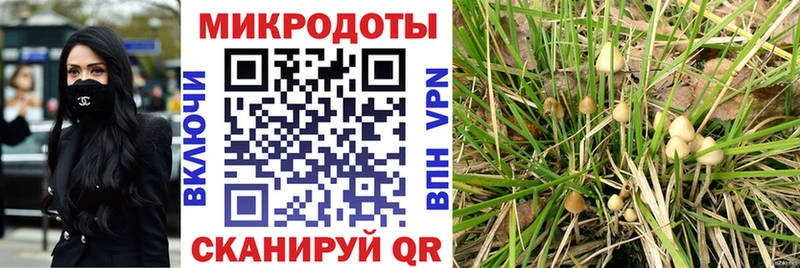 Псилоцибиновые грибы мицелий Ишимбай